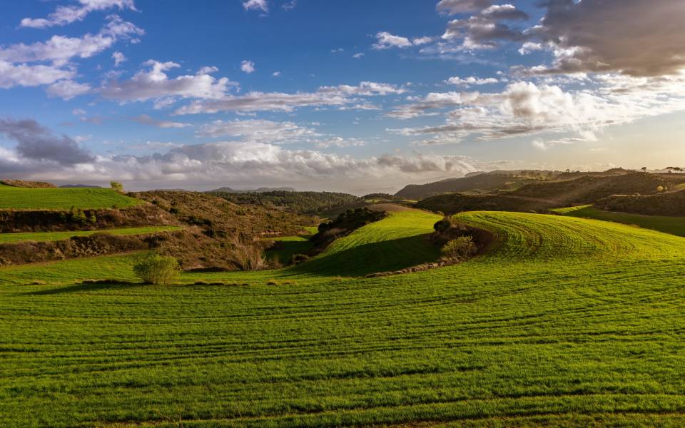 Holiday cottages in els Hostalets de Pierola