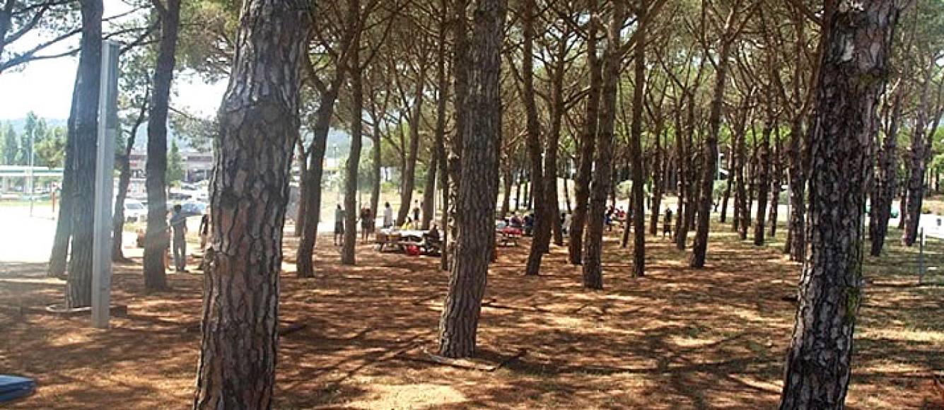Photo: somdepicnic.blogspot.com.es