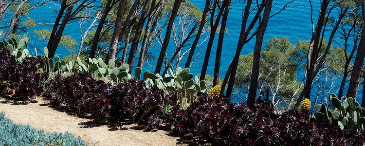 Foto: jarditours.com