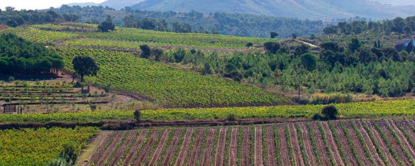 Foto: doemporda.cat