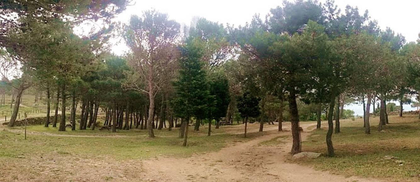 Photo: somdepicnic.blogspot.com.es