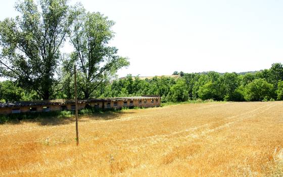 Gîtes de charme à Masies de Voltregà