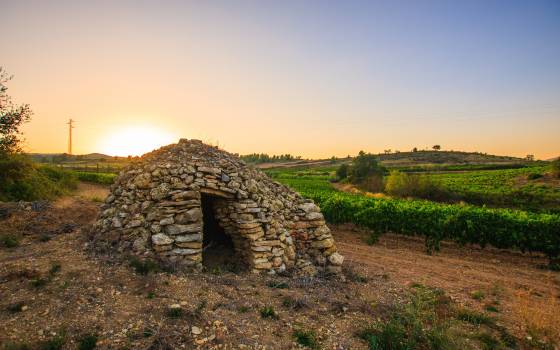 Cases rurals a Savallà del Comtat