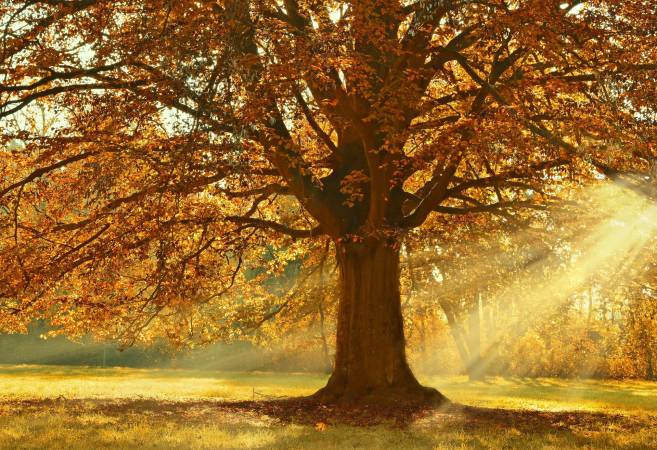 10 plans d'automne à Gérone et la Costa Brava