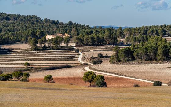 Cases rurals a Alió
