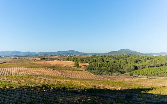 Cases rurals a Montferri
