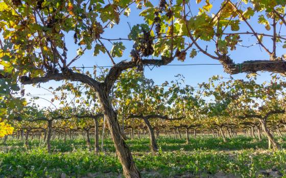 Holiday cottages in Vallbona d&#39;Anoia