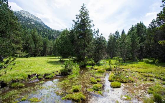Cases rurals a Artesa de Segre