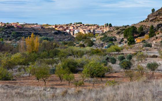 Cases rurals Al Cogul