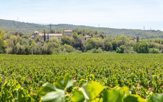 Holiday cottages in Santa Margarida i els Monjos