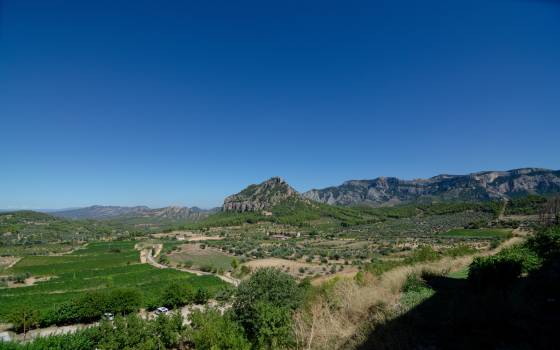 Cases rurals a l’Aldea