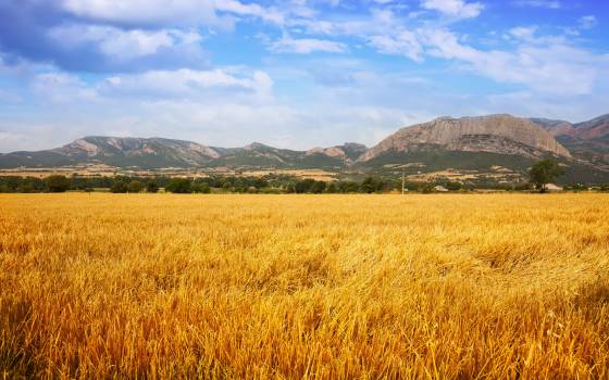 Cases rurals a Golmés