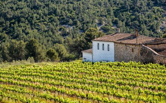 Gîtes de charme à Subirats