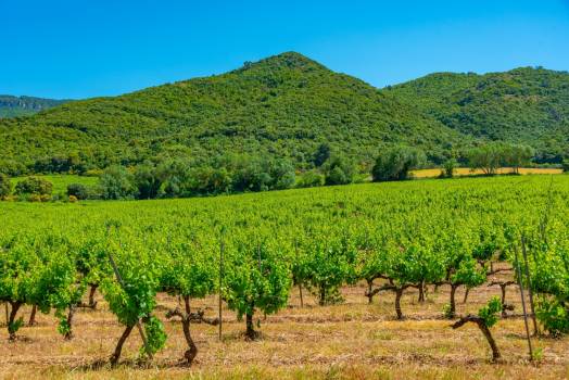 Cases rurals a Montmaneu