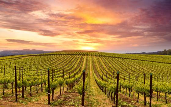 Holiday cottages in Llorenç del Penedès
