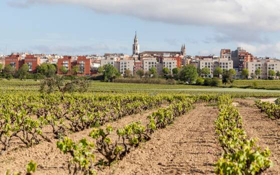 Holiday cottages in Vilafranca del Penedès
