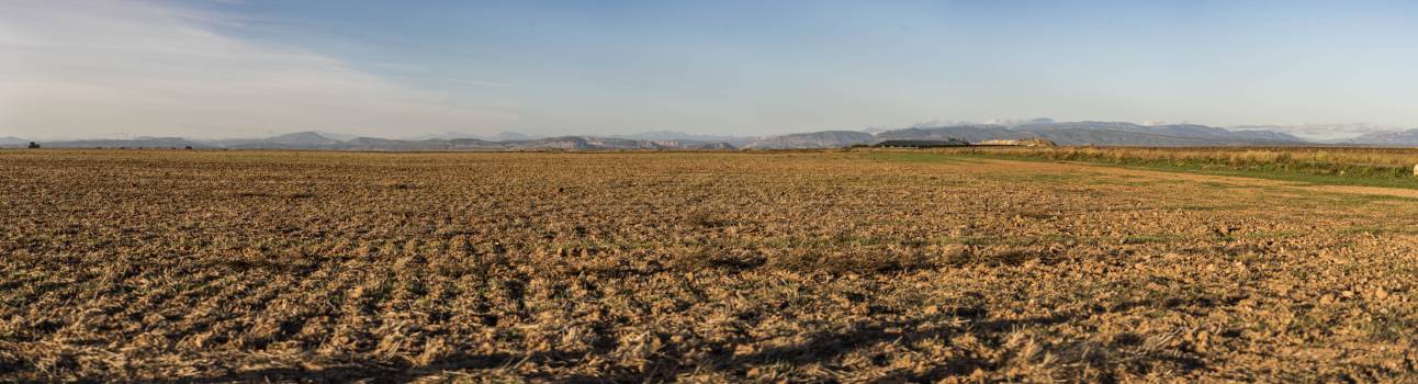 Casas rurales Alpicat