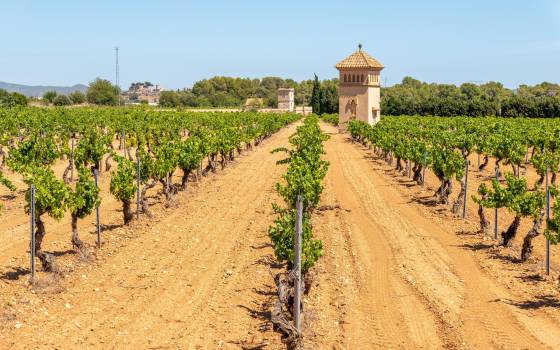 Holiday cottages in Sant Jaume dels Domenys