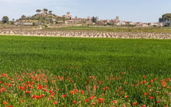 Holiday cottages in Banyeres del Penedès