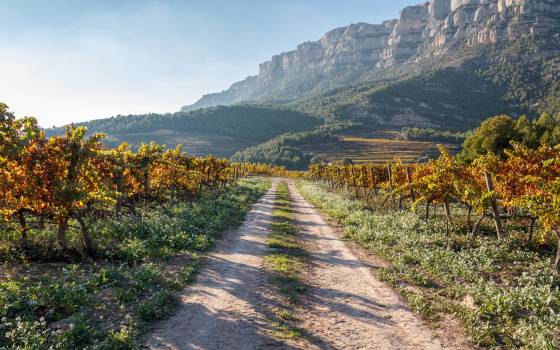 Cases rurals a Torroja del Priorat