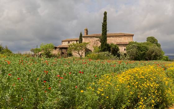 Gîtes de charme à Sant Hipòlit de Voltregà