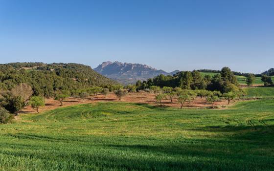 Holiday cottages in Castellfollit del Boix