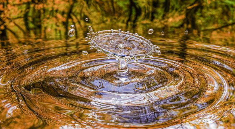 10 Tips to save water in times of drought
