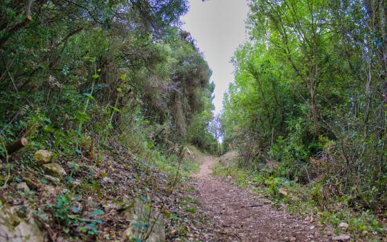 Cases rurals a Sant Llorenç de Montgai
