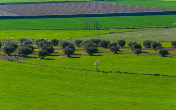 Cases rurals a Sidamon