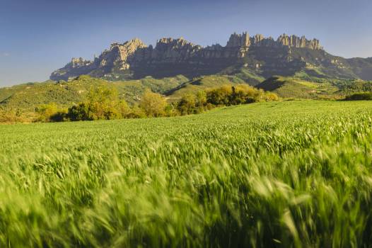 Holiday cottages in Bages