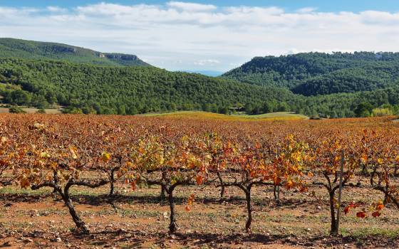 Gîtes de charme à Torrelavit