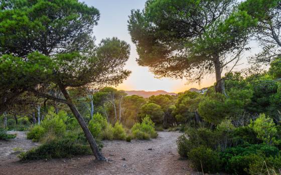 Cases rurals a La Floresta