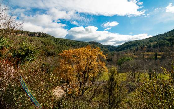 Cases rurals a Vallfogona de Riucorb