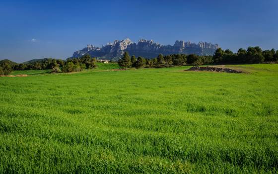 Holiday cottages in Sant Salvador de Guardiola