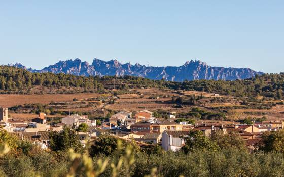 Holiday cottages in Sant Pere de Riudebitlles