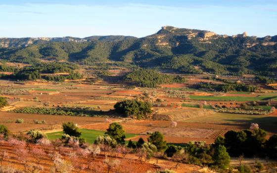 Gîtes de charme à Vilalba dels Arcs