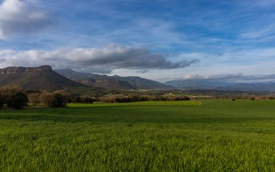 Cases rurals a Borredà