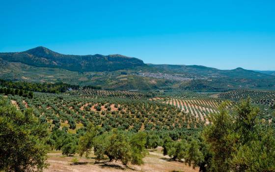 Gîtes de charme à Vilalba Sasserra