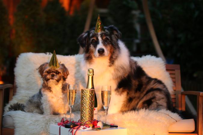 10 proposals for an unforgettable New Year&#39;s Eve in Girona and Costa Brava