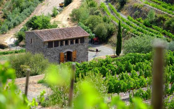 Gîtes de charme à Bellmunt del Priorat