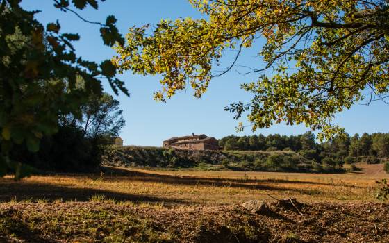 Holiday cottages in Riudoms