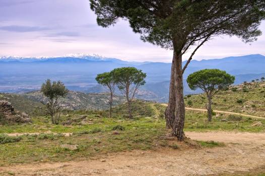 Holiday cottages in Sant Climent Sescebes