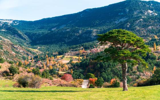 Cases rurals a Pinell de Solsonès