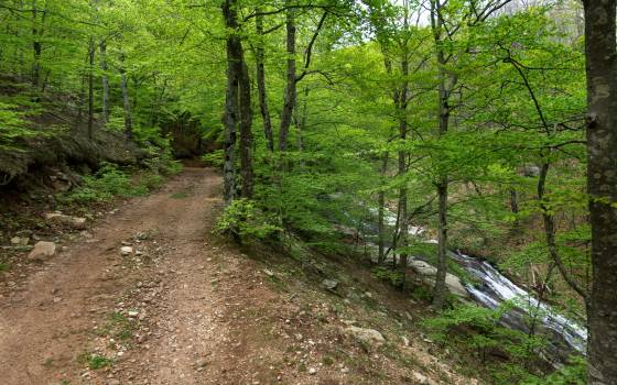 Gîtes de charme à Vilobí d&#39;Onyar