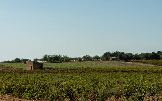 Cases rurals a Vilabella