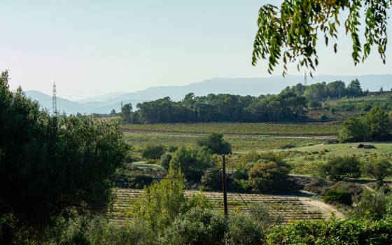 Casas rurales en Gallifa