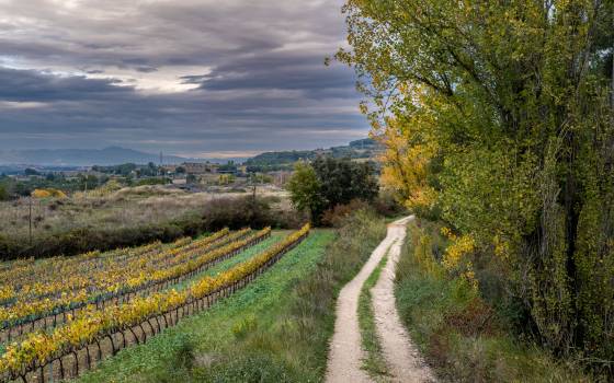 Holiday cottages in la Granada
