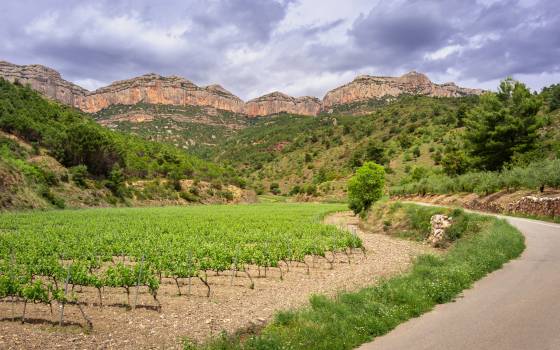 Casas rurales en Els Guiamets