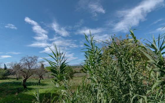 Holiday cottages in Els Pallaresos