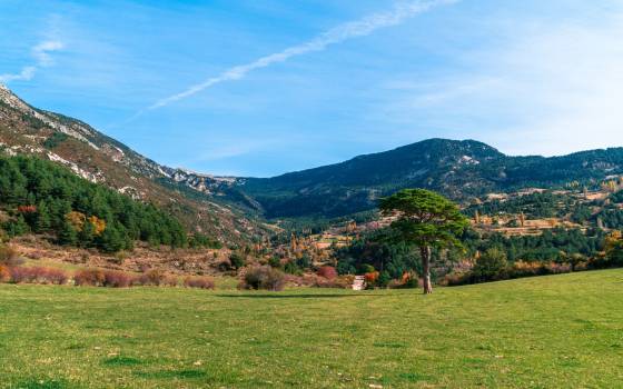 Cases rurals a Penelles